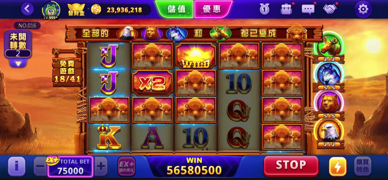 黃金野牛 畫面